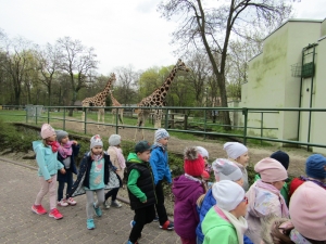 Wycieczka do łódzkiego zoo - 2017