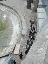 Wycieczka do łódzkiego zoo - 2017