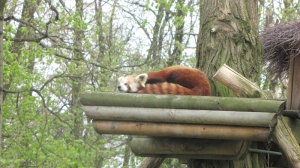 Wycieczka do łódzkiego zoo - 2017