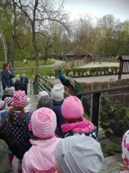 Wycieczka do łódzkiego zoo - 2017