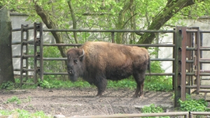 Wycieczka do łódzkiego zoo - 2017