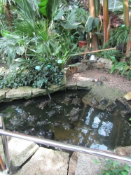 Wycieczka do łódzkiego zoo - 2017