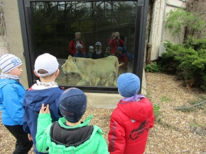 Wycieczka do łódzkiego zoo - 2017