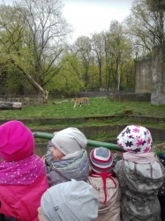 Wycieczka do łódzkiego zoo - 2017