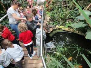 Wycieczka do łódzkiego zoo - 2017