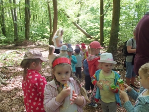 Wycieczka do Przedborskiego Parku Krajobrazowego 2017