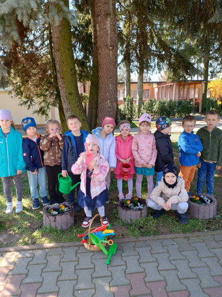 Matematyka w przyrodzie