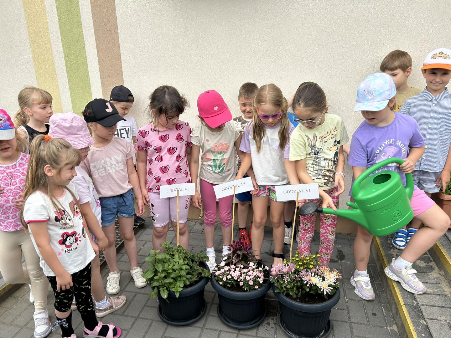 Kącik z roślinami zielonymi