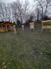 IMG-20250331-WA0019