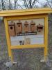IMG-20250331-WA0020