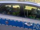 img-20240517-wa0002